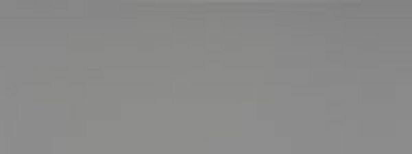 FENIX NTM grigio-efeso