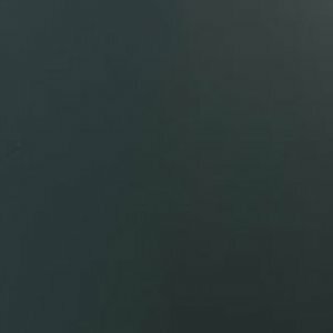 Buche anthrazit RAL 7016