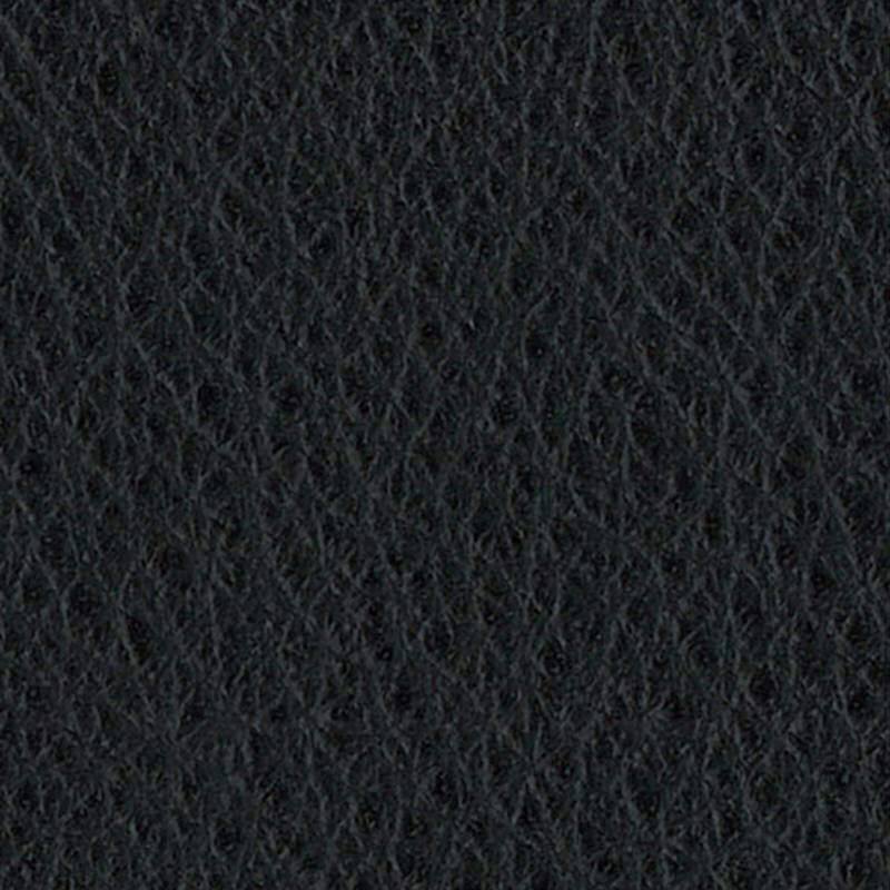 Leder Colorado schwarz (II)