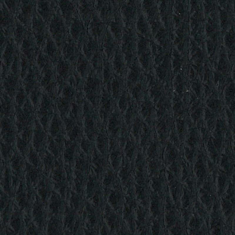 Leder Namibia schwarz (II)