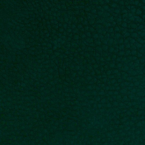 Leder Uri forest (IV)