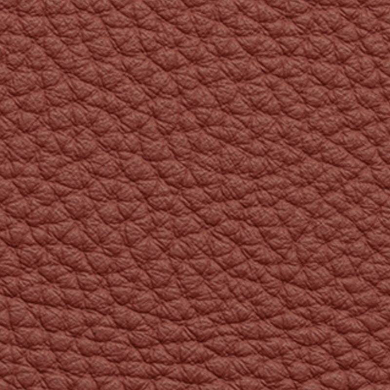 Leder Fusion 2260 goiji