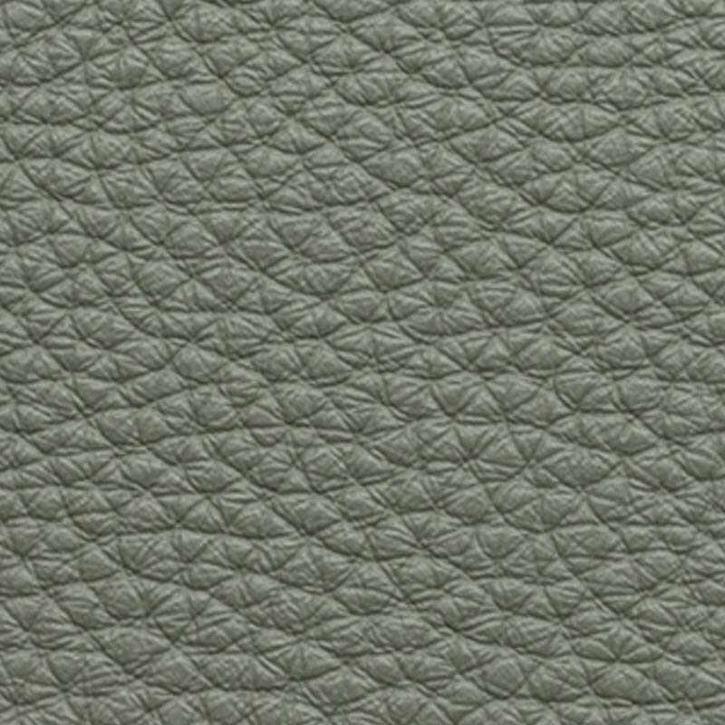 Leder Fusion 6110 thyme